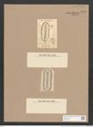 Surirella eximia Grev. (de-Toni-Nr.: Genus 53, Species 2289) Zeichnungen Sammlung Grunow Nr. 4738 (NHMW-BOT-W0372844)